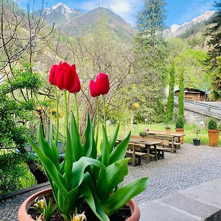 Tannerhof Bed & Breakfast Caines 外观 照片