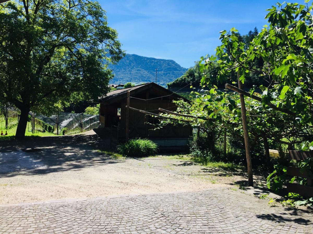 Tannerhof Bed & Breakfast Caines 外观 照片