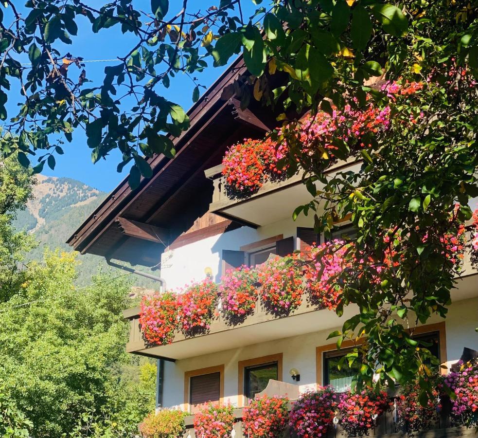 Tannerhof Bed & Breakfast Caines 外观 照片