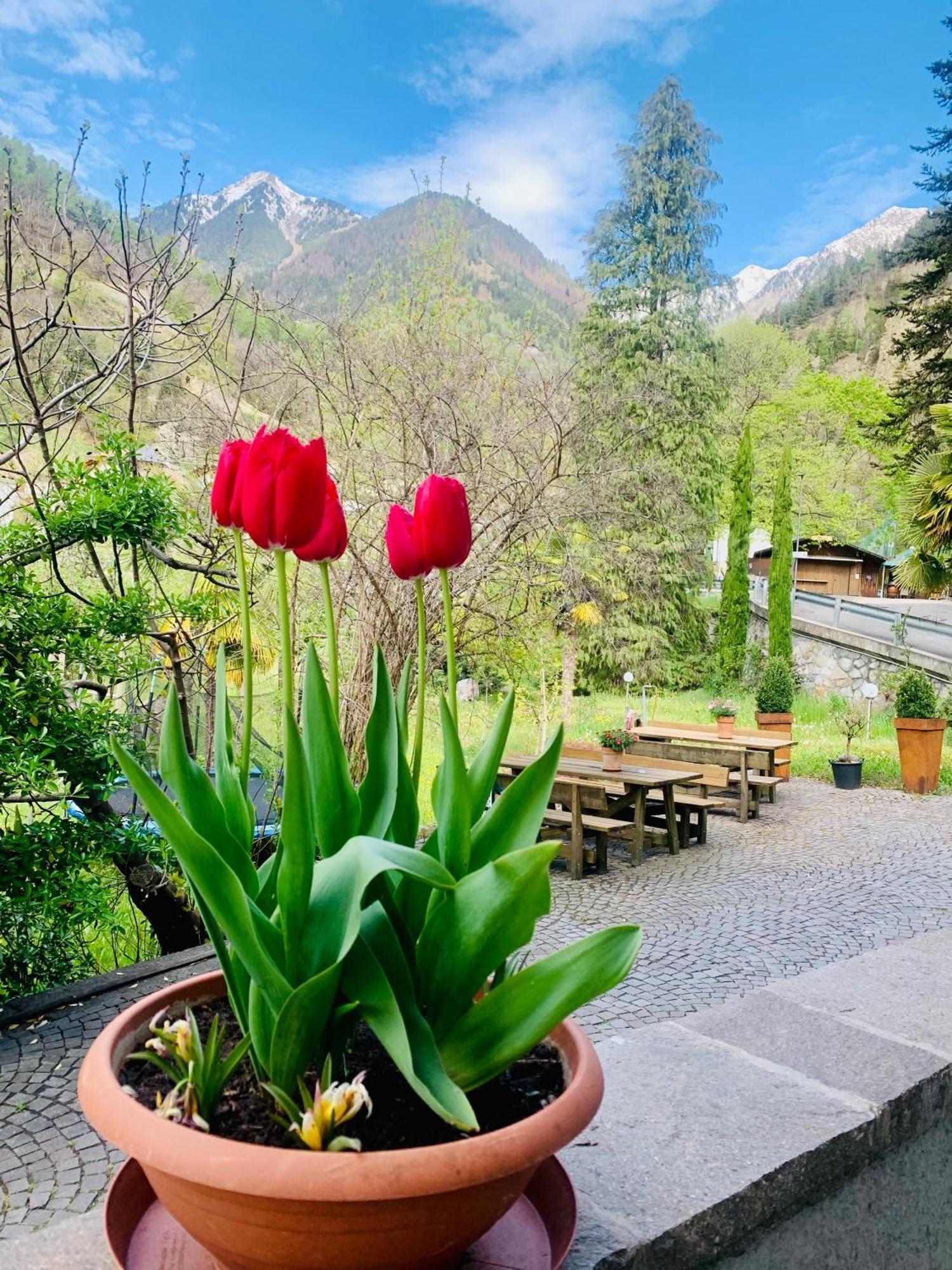 Tannerhof Bed & Breakfast Caines 外观 照片