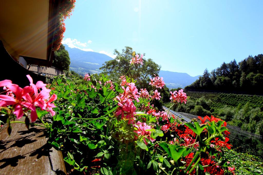Tannerhof Bed & Breakfast Caines 客房 照片